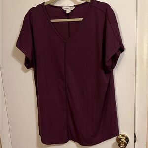 Coldwater Creek Women’s Purple V-Neck Top